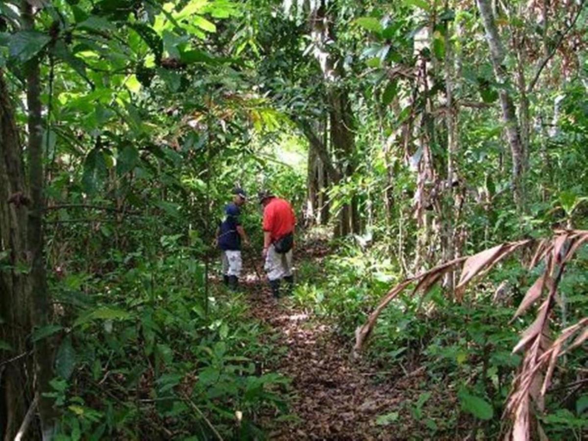 Tanini Kinabatangan Formerly Known As Nature Lodge Kinabatangan Bilit Extérieur photo